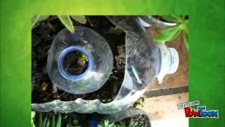 ECOLOGIA VERDE