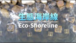 生態海岸線 Eco-Shoreline