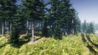 Advanced Environment - Unity Engine