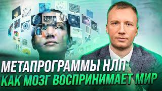 Метапрограммы НЛП. Как мозг воспринимает мир. Программы мышления.