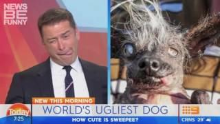 Best TV News Bloopers, Interviews, Fails June 2016    News Be Funny Videos