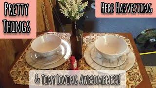 Tiny Living Awesomeness!- Ann's Tiny Life