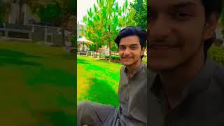 #hazarawal #hazara #duet #independenceday #hazaracommunity #cute #song