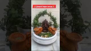 Jade plant topiary#trending#miniature#youtubeshorts #shorts#shree ji creative garden