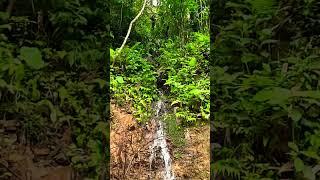 Thác nước bé chảy _ thichchupanh #nature #thiennhientuoidep
