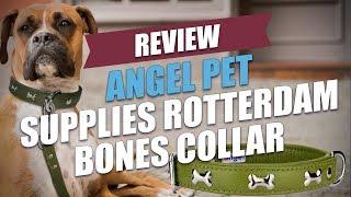 Angel Pet Supplies Rotterdam Bones Collar Review