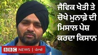 This Punjab farmer sets an example for Organic farming  | BBC NEWS PUNJABI