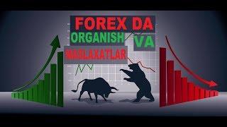 FOREXNI ORGANISH VA MASLAXATLAR  (internetda pul ishlash  )