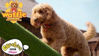 Waffle the Wonder Dog at the Playground | CBeebies