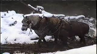 Horse Logging by Marcel Levesque .