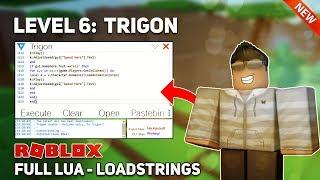 FREE LEVEL 6 ROBLOX EXPLOIT - TRIGON FULL LUA EXECUTOR, LOADSTRINGS W/ GETOBJECTS & HTTPGET (27 Dec)