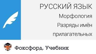 Русский язык. Морфология: Разряды имён прилагательных. Центр онлайн-обучения «Фоксфорд»