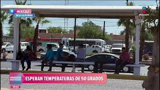 ¡Mexicali arde! Se esperan temperaturas de 50 grados | Noticias con Crystal Mendivil