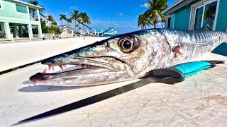 Catch n' Cook BARRACUDA STEAKS over a Fire Pit!