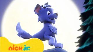 PAW Patrol | Weerpuppy's & Monstermysteries! | Nick Jr. Nederlands