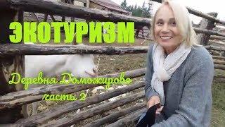 ЭКОТУРИЗМ/Завтрак в Хозяйстве ФЕРМЕР/Путешествия по России 2018/деревня Доможирово