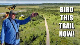 It's a BRAND NEW birding trail nobody knows about.