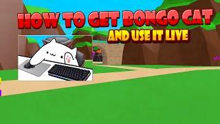 How To Use Bongo Cat [Live] And Setup Tutorial