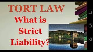 What is Strict Liability?