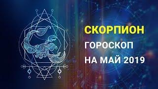 СКОРПИОН ГОРОСКОП МАЙ 2019. Время любви и популярности