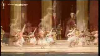 Malakhov, Stadler - SWAN LAKE, Vienna State Opera Ballet