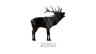 The Wild Roots - Animals