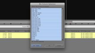 Wanna Switch? - Lesson 3 - Bins and Project Organization