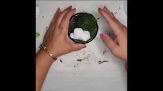 #shorts Let's Make a Dollar Tree Cloche Dome Bunny Scene | Easter Tiered Tray DIY