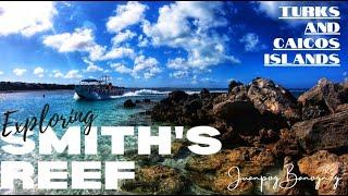 EXPLORING SMITH'S REEF | TURKS AND CAICOS ISLANDS