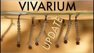 AQUATIC MADNESS! Crab, Ants, Flat Bugs and much more in this vivarium update!