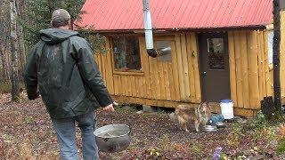 Life in an Off -Grid Cabin