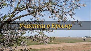 Выезд на осмотр двух участков. Купить участок в Крыму