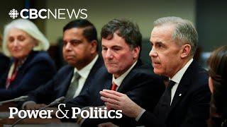 Political Pulse Panel: PM Carney and cabinet sworn in with election campaign likely days away