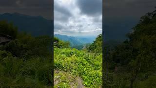 Eryanping Trail #shortsvideo #shortvideo #shorts #short #alishan #trail #trailer #trailers #sun