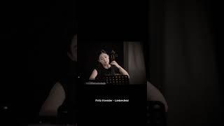 Fritz Kreisler - Liebesleid #music #classicalmusic #orchestra #화음챔버오케스트라