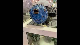 Pog fish