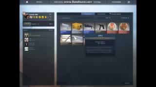 CS:GO winter offensive weapon 2 case