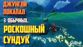 РОСКОШНЫЙ СУНДУК ДЖУНГЛИ ЛОКАПАЛ. ДЕНДРОКУЛ В ВОЗДУХЕ , КАМЕНЬ С НАДПИСЯМИ СУМЕРУ GENSHIN IMPACT 3.0