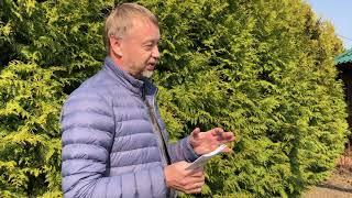 Объем покупок новых автомобилей премиум-сегмента в марте вырос на 30%