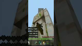 iron golem Vs iron golem