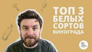 ТОП 3 БЕЛЫХ СОРТОВ ВИНОГРАДА