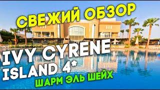 Ivy Cyrene Island 4* Египет Шарм эль Шейх Свежий обзор декабрь 2024 Вся правда об отеле. Смотри