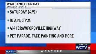 WCTV Wag Family Fun Day