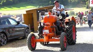 6. Schleppertreffen der Schlepperfreunde 54531 Meerfeld 11.08.2024 Hochkelberg TV