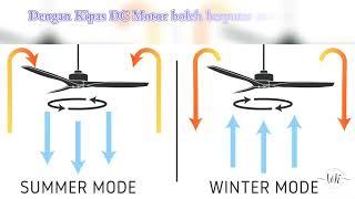 DC Motor Ceiling Fan (Alpha/Rezo/Ecoluxe/Deka) BEST VALUE FOR MONEY