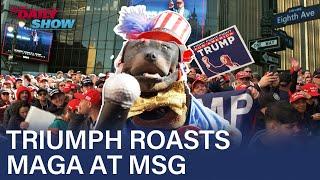 Triumph the Insult Comic Dog Roasts Trump Supporters At His MSG Rally | The Daily Show