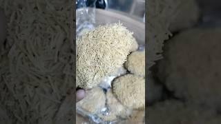 Chicken  kabaab