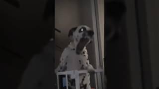 SkinWalker Disguised As Animals  #scary #animals #ytshorts #shorts