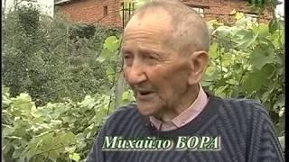 Із коріння нашого. Михайло Бора.  Світлі зерна гіркої долі ...