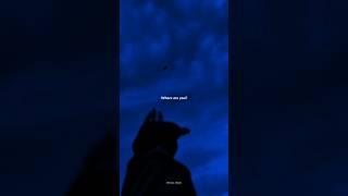 SNAP - Rosa Linn | lyrics | whatsapp status | aesthetic | edit | slowed and reverb